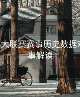 B体育五大联赛赛事历史数据对比｜赛事解读