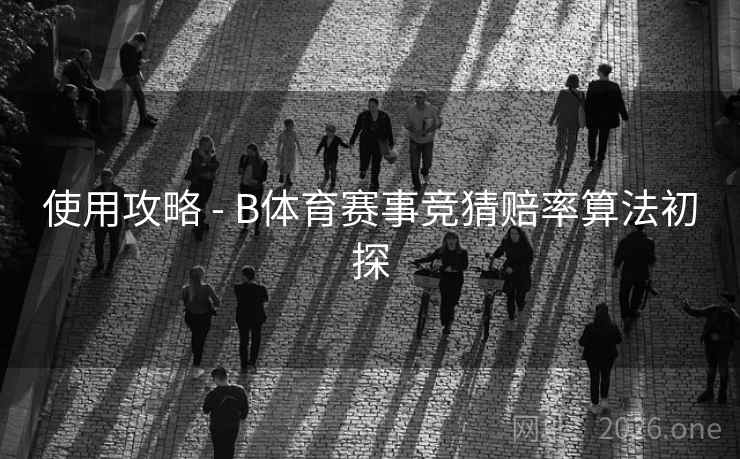 使用攻略 - B体育赛事竞猜赔率算法初探 使用攻略 - B体育赛事竞猜赔率算法初探