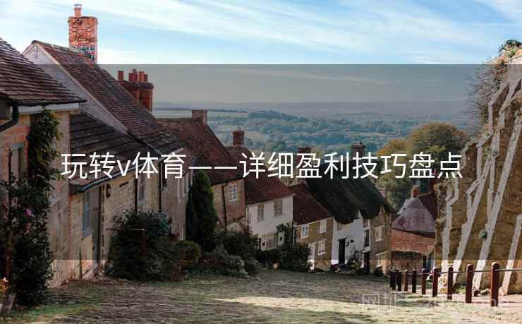 玩转v体育——详细盈利技巧盘点 玩转v体育——详细盈利技巧盘点