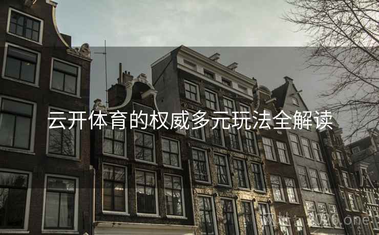 云开体育的权威多元玩法全解读 云开体育的权威多元玩法全解读