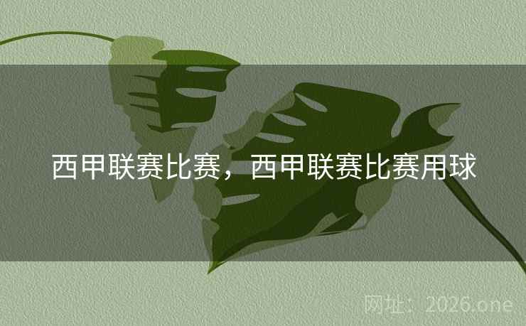 西甲联赛比赛,西甲联赛比赛用球 西甲联赛比赛,西甲联赛比赛用球