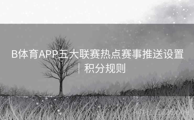 B体育APP五大联赛热点赛事推送设置|积分规则 B体育APP五大联赛热点赛事推送设置|积分规则