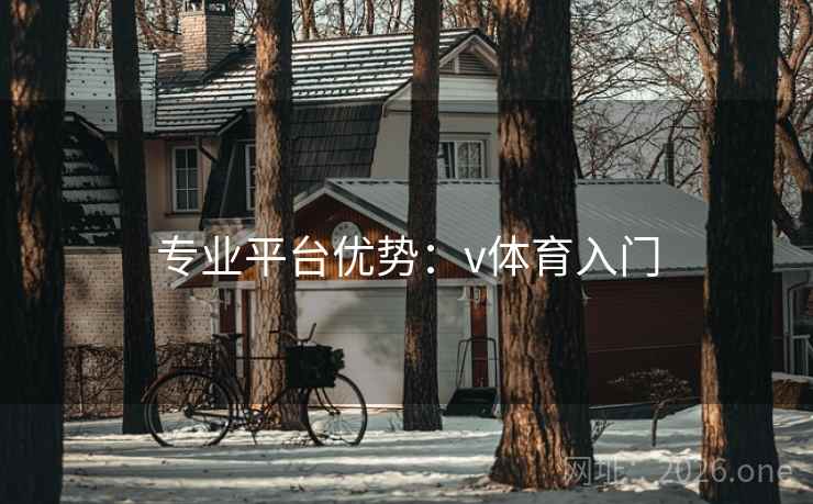专业平台优势:v体育入门 专业平台优势:v体育入门