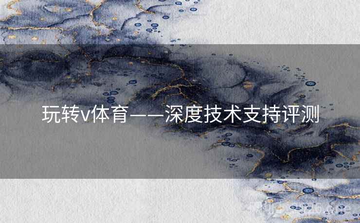 玩转v体育——深度技术支持评测 玩转v体育——深度技术支持评测