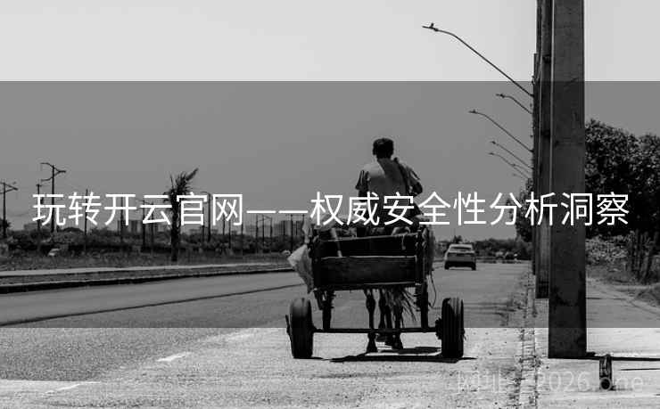 玩转开云官网——权威安全性分析洞察 玩转开云官网——权威安全性分析洞察