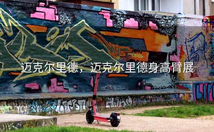 迈克尔里德,迈克尔里德身高臂展 迈克尔里德,迈克尔里德身高臂展