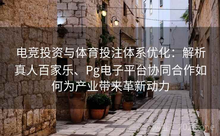 电竞投资与体育投注体系优化:解析真人百家乐、Pg电子平台协同合作如何为产业带来革新动力 电竞投资与体育投注体系优化:解析真人百家乐、Pg电子平台协同合作如何为产业带来革新动力