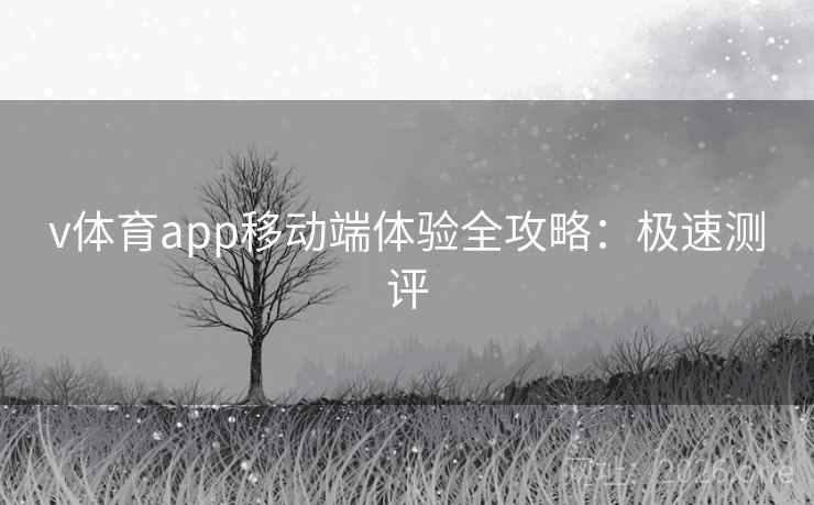 v体育app移动端体验全攻略:极速测评 v体育app移动端体验全攻略:极速测评