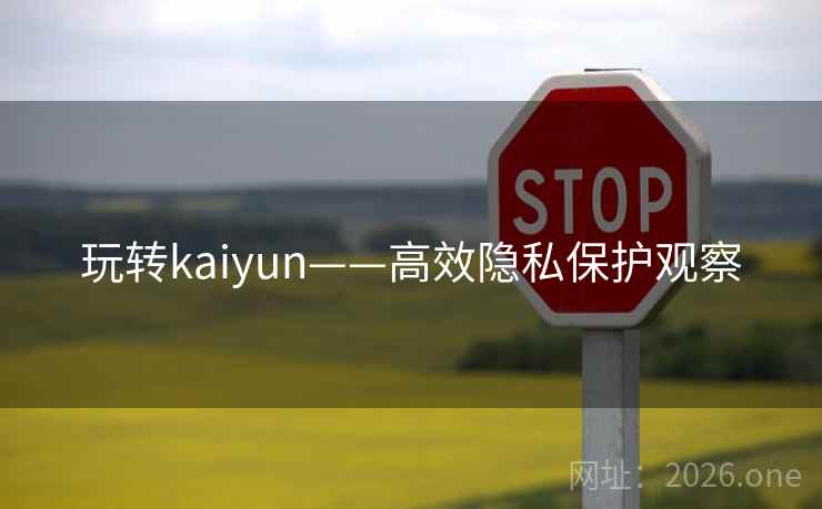 玩转kaiyun——高效隐私保护观察 玩转kaiyun——高效隐私保护观察