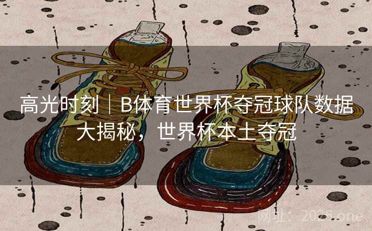 高光时刻|B体育世界杯夺冠球队数据大揭秘,世界杯本土夺冠 高光时刻|B体育世界杯夺冠球队数据大揭秘,世界杯本土夺冠