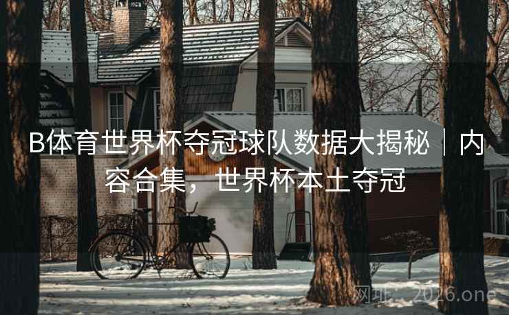 B体育世界杯夺冠球队数据大揭秘|内容合集,世界杯本土夺冠 B体育世界杯夺冠球队数据大揭秘|内容合集,世界杯本土夺冠