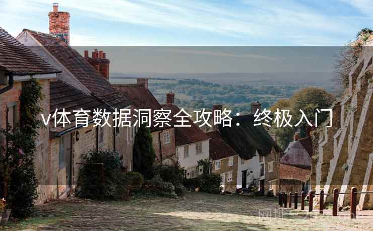 v体育数据洞察全攻略:终极入门 v体育数据洞察全攻略:终极入门