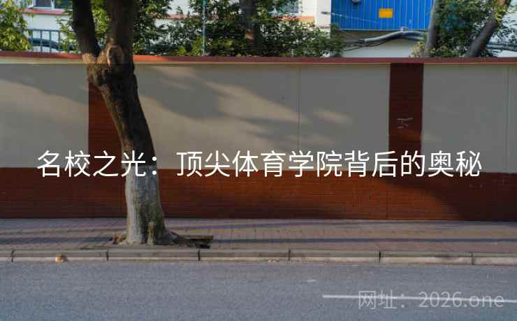 名校之光:顶尖体育学院背后的奥秘 名校之光:顶尖体育学院背后的奥秘